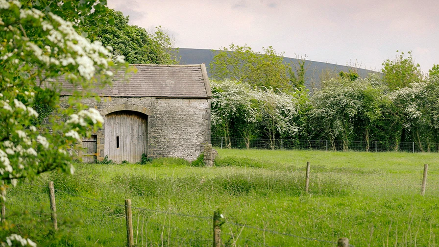 Old barn surrounded by green field