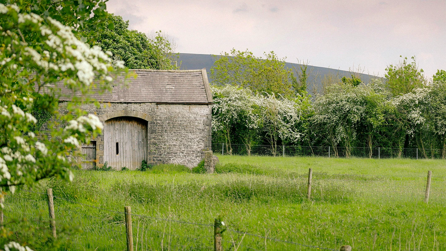 Old barn surrounded by green field